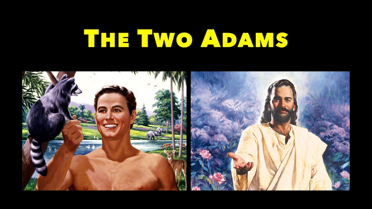 The Two Adams